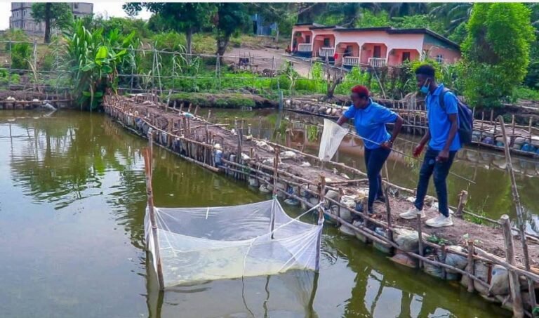 Staff walking along net enclosures on a pond