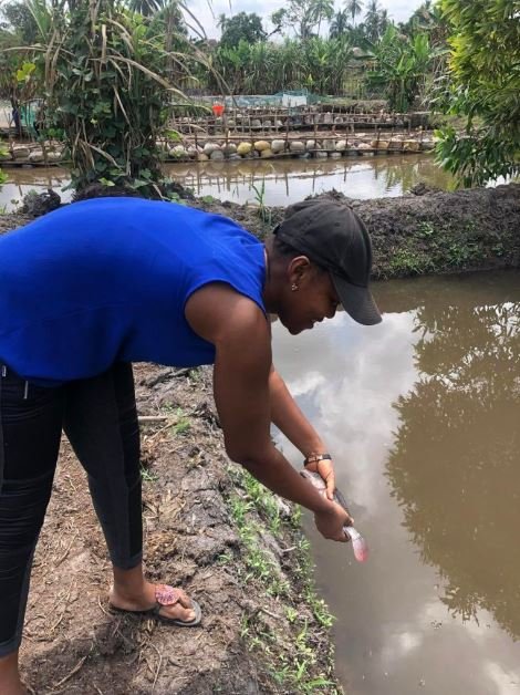 A farmer stocking fish into a pond